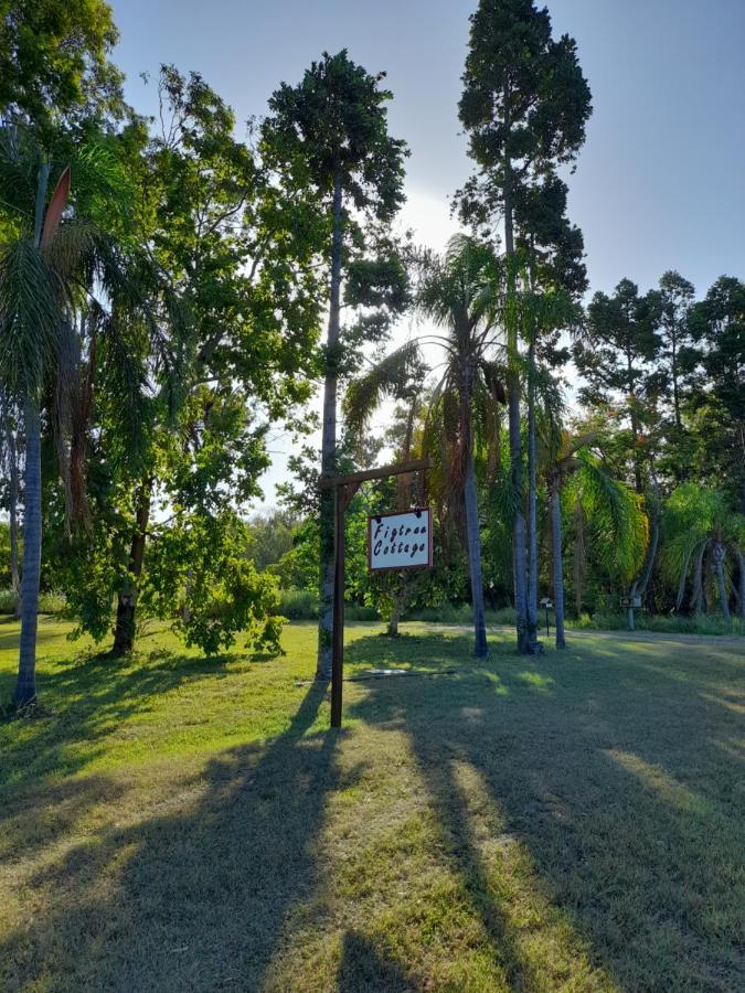 Figtree Cottage - Homestay - Yeppoon Εξωτερικό φωτογραφία